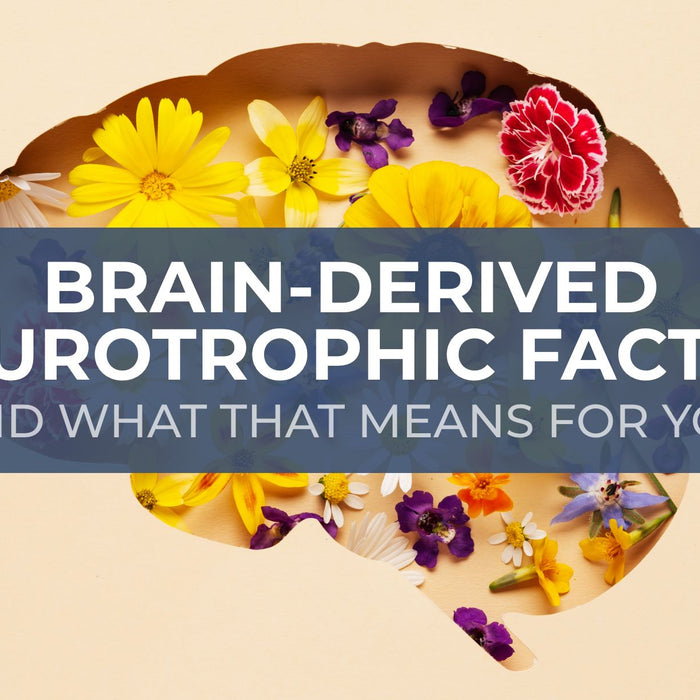 Brain-Derived Neurotrophic Factor and What That Means For You?