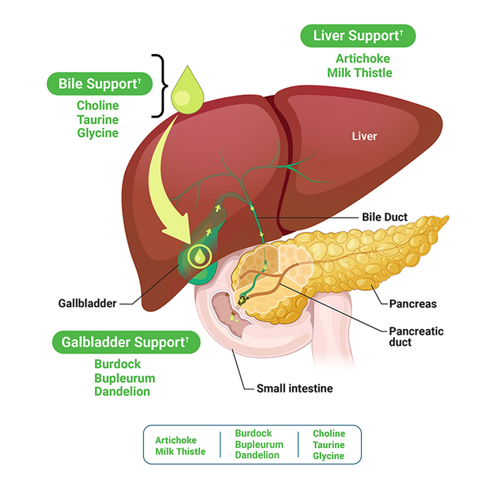 Gallbladder Nutrients