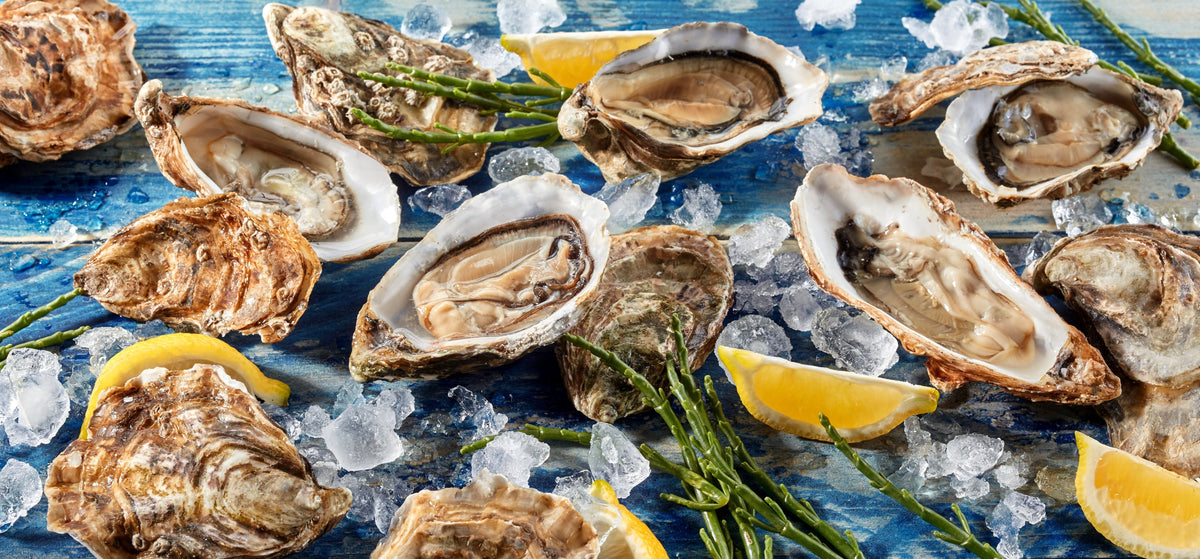 Zinc Bisglycinate vs Zinc Picolinate: Which Is Better?