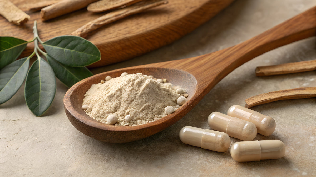 Ashwagandha & Memory: You’ll Want to Remember This