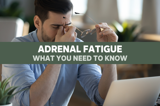 Adrenal Fatigue: A Quick Guide  Seeking Health