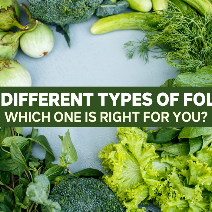 The Different Types of Folate: Which One is Right for You?