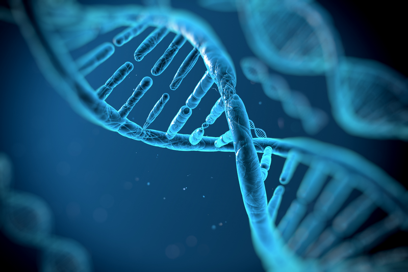Gene Mutations A to Z (Or at Least the Ones You Should Know About)