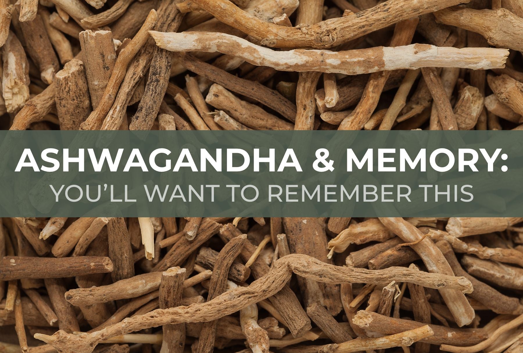 Ashwagandha & Memory: You’ll Want to Remember This