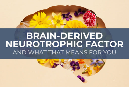 Brain-Derived Neurotrophic Factor and What That Means For You?