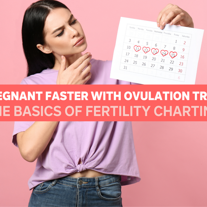 Get Pregnant Faster with Ovulation Tracking: The Basics of Fertility Charting