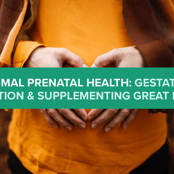 Optimal Prenatal Health - Gestation, Education and Supplementing Great Health