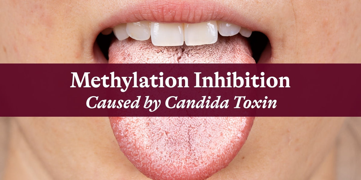 does glutathione feed candida Methylation Inhibition Caused by Candida Toxin — Seeking Health