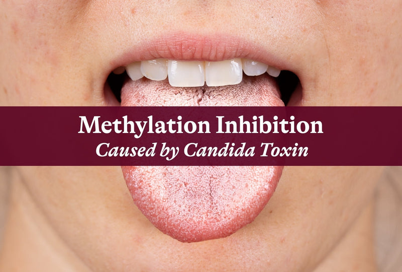 Methylation Inhibition Caused by Candida Toxin — Seeking Health