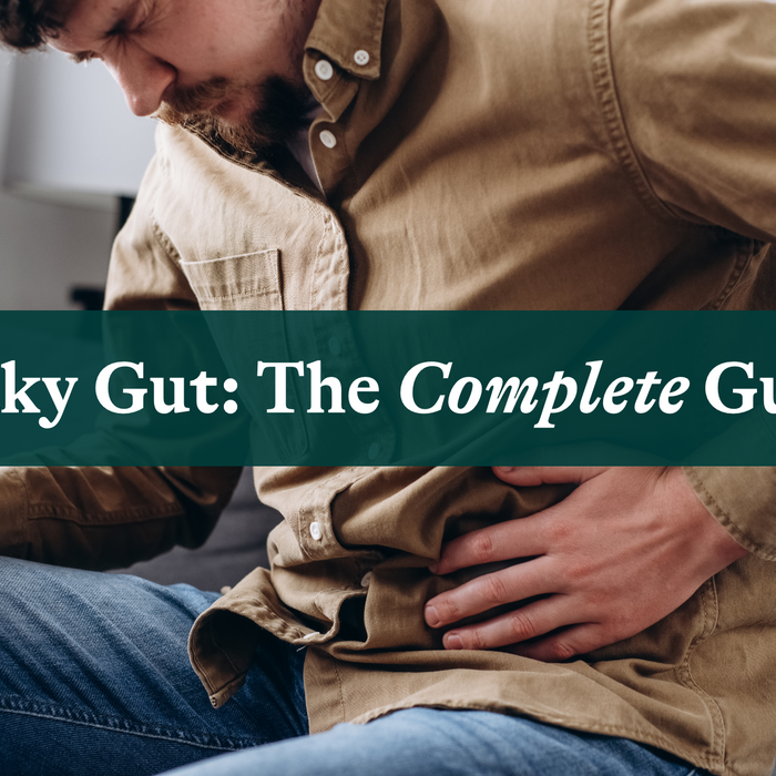  Leaky gut blog cover 