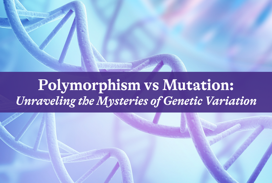 Polymorphism vs Mutation: Unraveling the Mysteries of Genetic Variatio ...