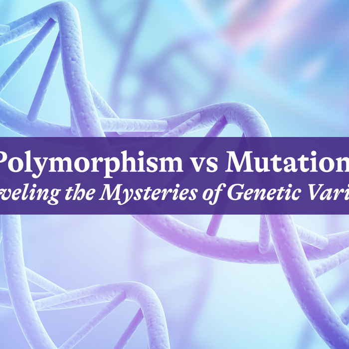 Polymorphism vs Mutation: Unraveling the Mysteries of Genetic Variation