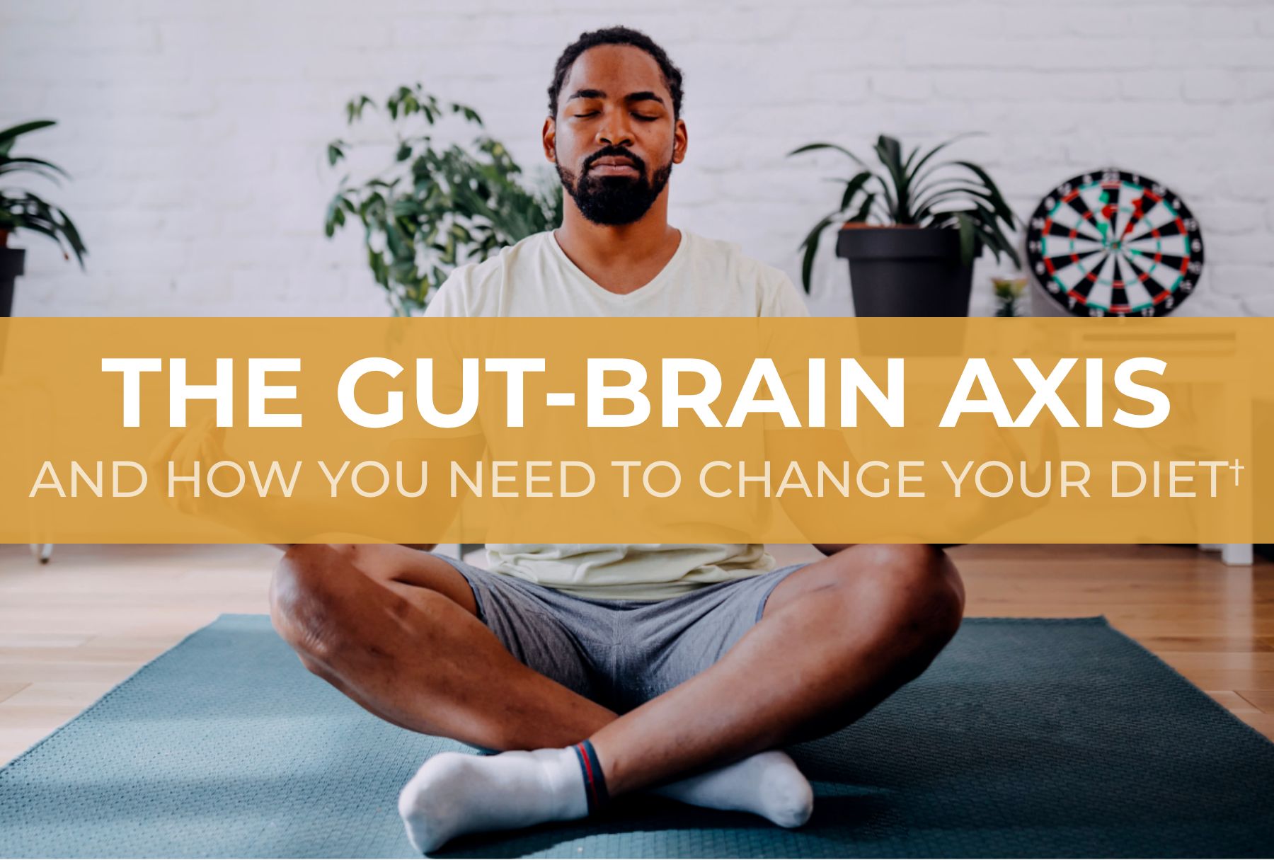 The Gut-Brain Axis and How You Need to Change Your Diet