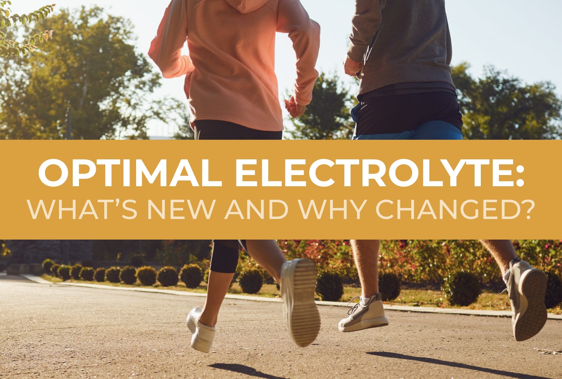Optimal Electrolyte: What’s New and What Changed?