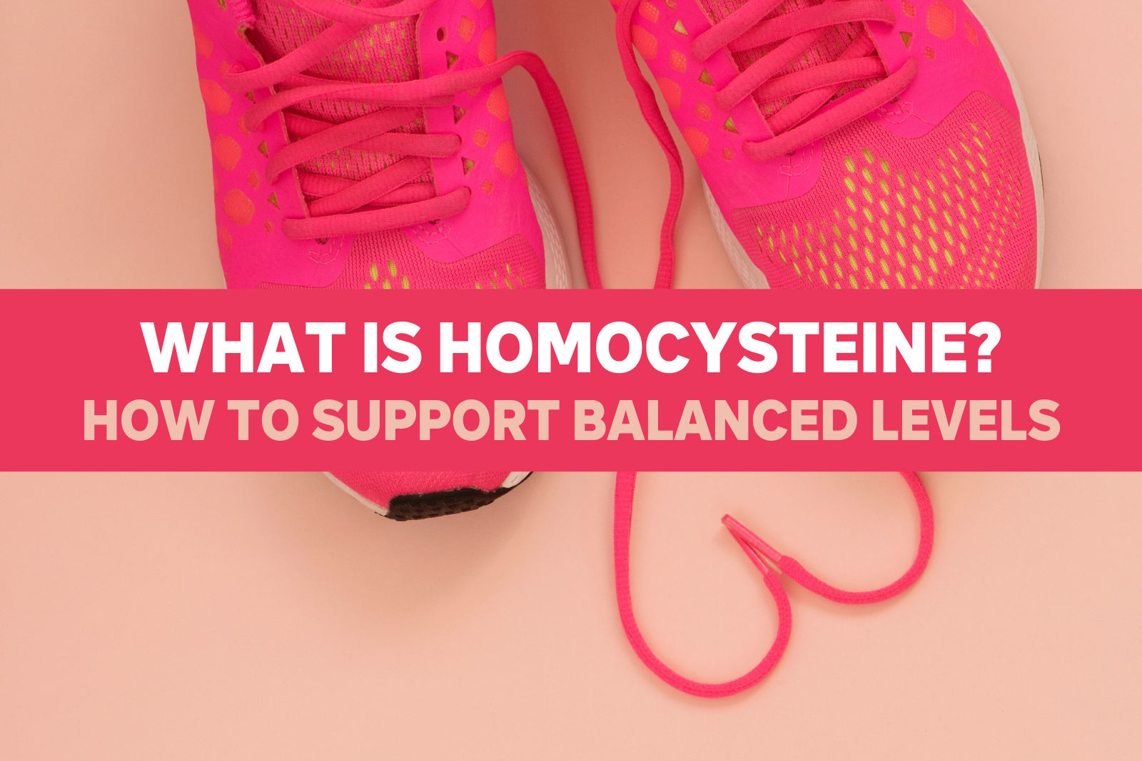 What is Homocysteine: How to Support Balanced Levels