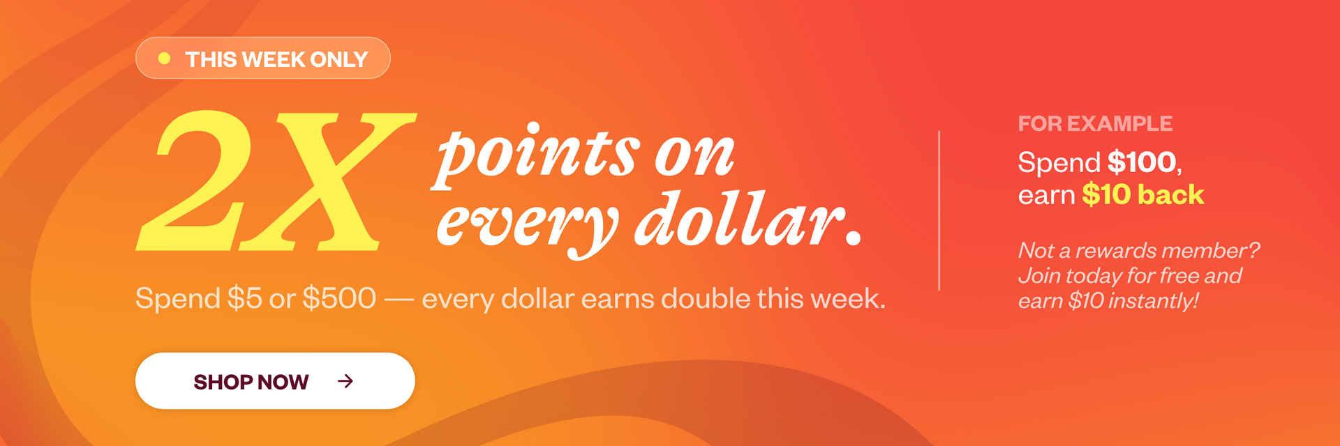 Promotional banner with text about earning double points on every dollar spent, with a call to action to 'Shop Now'.