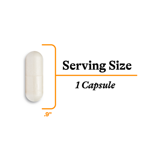 Acetyl L Carnitine | Dietary Supplement Seeking Health Acetyl L Carnitine | Dietary Supplement Seeking Health