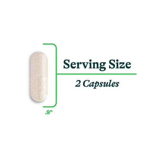 Actual size of Digestive Enzymes