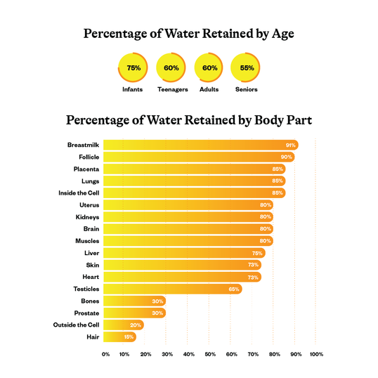 chart of percentage of water retained by age