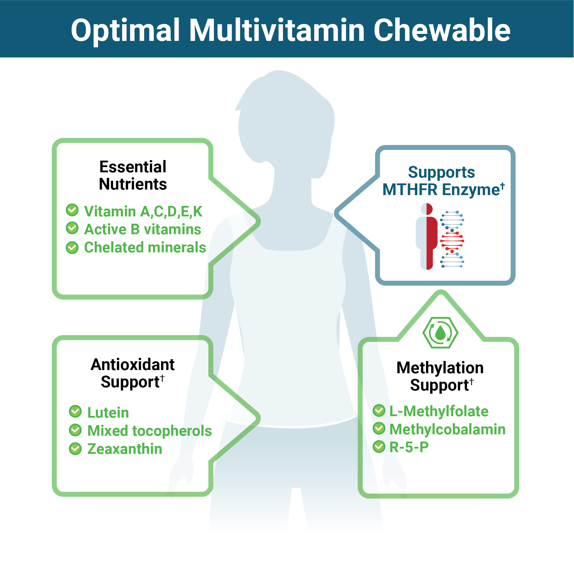 Chewable Multivitamins Optimal Multivitamin 60 Tablets — Seeking Health