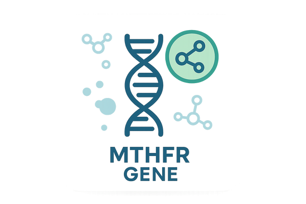 MTHFR Gene